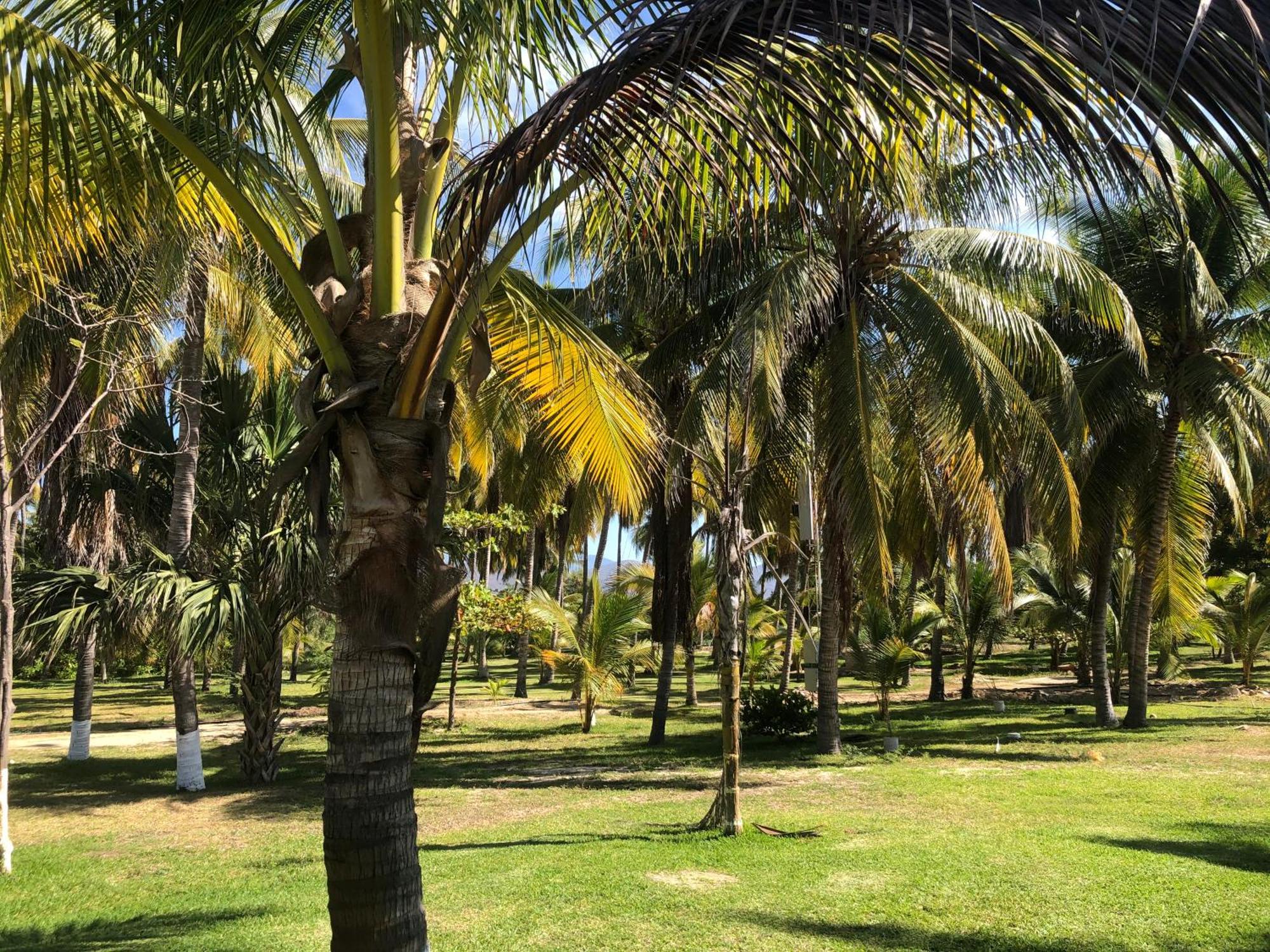 Casa Kundavi Beach Front Paradise Recado Esterno foto